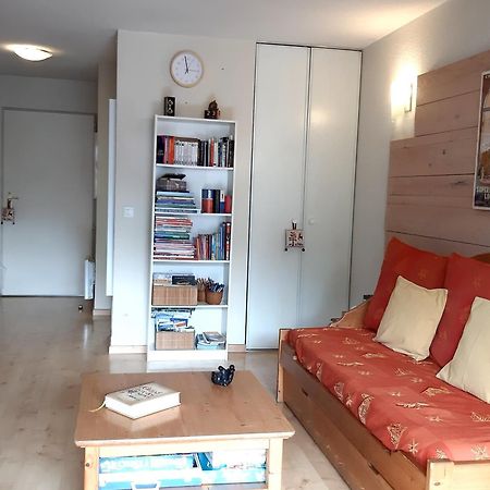 Le 102, T3 Pour 5 Personnes, Vue Montagne, Classe 2 Etoiles Nf, Parking, Piscine En Ete Bagneres-de-Luchon Ngoại thất bức ảnh
